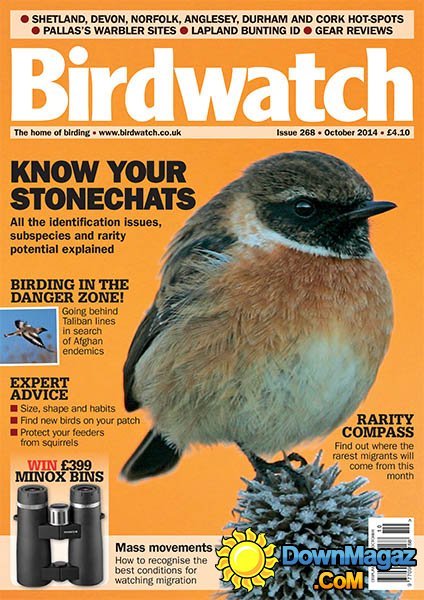BirdWatch - October 2014