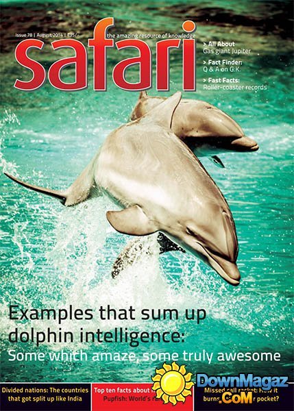 Safari - August 2014