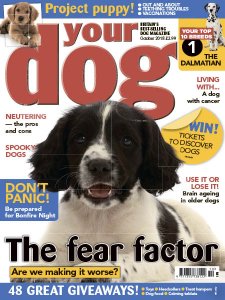 Your Dog - 10.2018 Your Dog - 10.2018