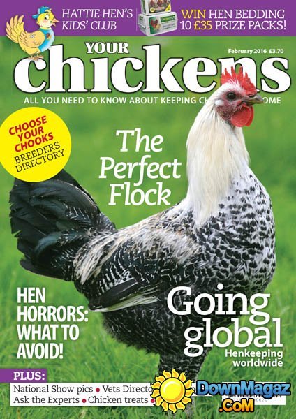 Your Chickens - February 2016 Your Chickens - February 2016