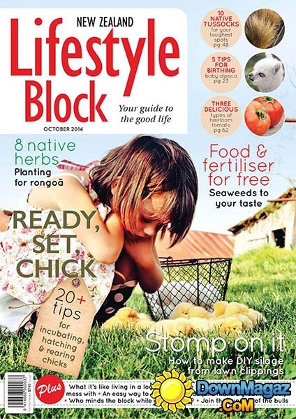 Lifestyle Block New Zealand - October 2014 Lifestyle Block New Zealand - October 2014