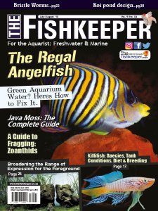 The Fishkeeper - 07/08 2018 The Fishkeeper - 07/08 2018