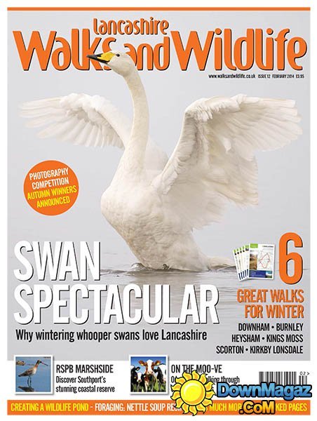 Lancashire Walks and Wildlife - February 2014