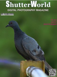 ShutterWorld - 08/09 2018 (Supplementary) ShutterWorld - 08/09 2018 (Supplementary)