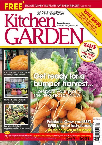 Kitchen Garden - December 2010 Kitchen Garden - December 2010