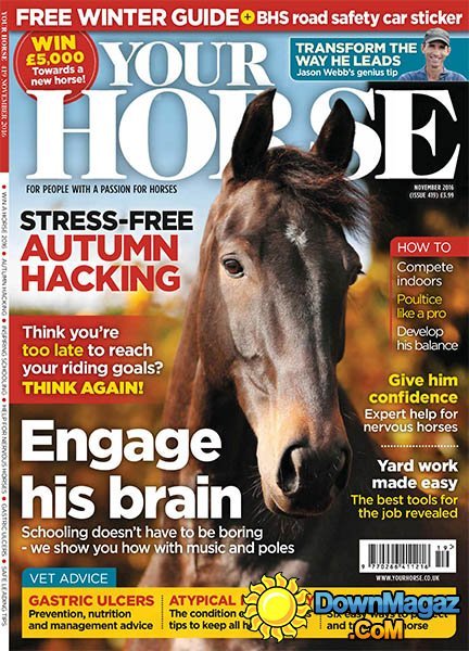 Your Horse - November 2016 Your Horse - November 2016
