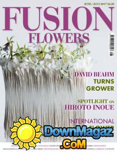 Fusion Flowers - 06/07 2017 Fusion Flowers - 06/07 2017