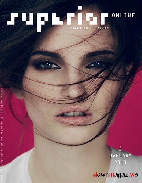 Superior - January 2013