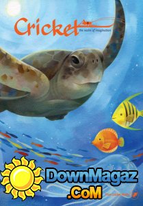 Cricket - 07/08 2017 Cricket - 07/08 2017