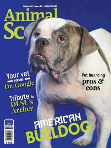 Animal Scene - 08.2019 Animal Scene - 08.2019