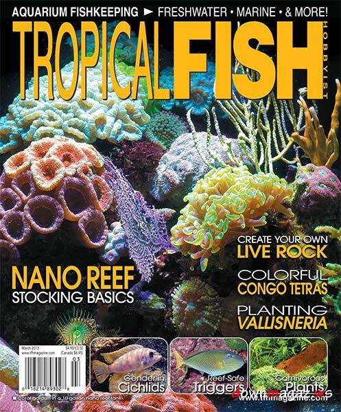 Tropical Fish Hobbyist - March 2013 Tropical Fish Hobbyist - March 2013