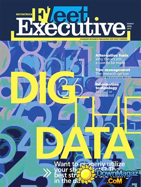 Fleet Executive - March/April 2015