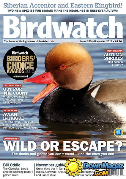 Birdwatch UK - November 2016 Birdwatch UK - November 2016