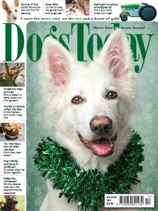 Dogs Today UK - 12.2019 Dogs Today UK - 12.2019