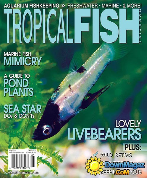 Tropical Fish Hobbyist - May 2015 Tropical Fish Hobbyist - May 2015