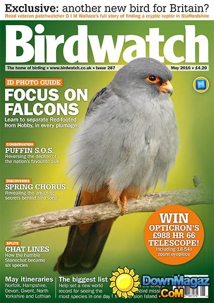 Birdwatch - May 2016 Birdwatch - May 2016