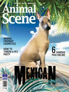 Animal Scene - 03.2019 Animal Scene - 03.2019