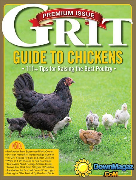 Grit - Guide to Chickens 2016