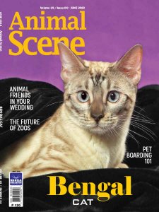 Animal Scene - 06.2019 Animal Scene - 06.2019