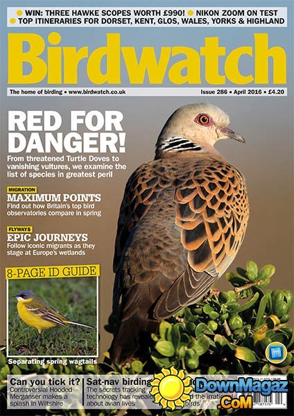 Birdwatch - April 2016 Birdwatch - April 2016