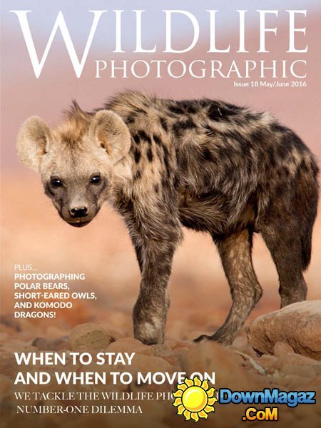 Wildlife Photographic - May-June 2016 Wildlife Photographic - May-June 2016