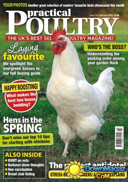 Practical Poultry - February 2016 Practical Poultry - February 2016