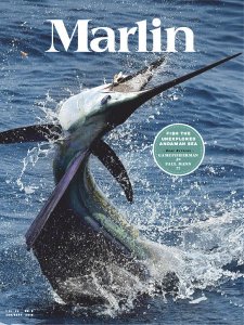 Marlin - 08/09 2019 Marlin - 08/09 2019