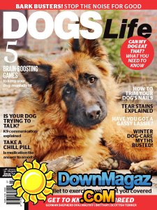 Dogs Life - 07/08 2017 Dogs Life - 07/08 2017