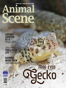 Animal Scene - 07.2019 Animal Scene - 07.2019