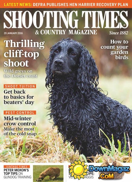 Shooting Times & Country - 20 January 2016 Shooting Times & Country - 20 January 2016