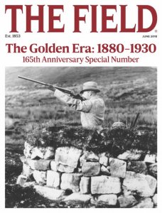 The Field - 06.2018 The Field - 06.2018