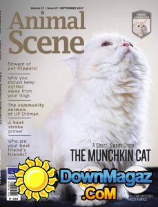 Animal Scene - 09.2017 Animal Scene - 09.2017