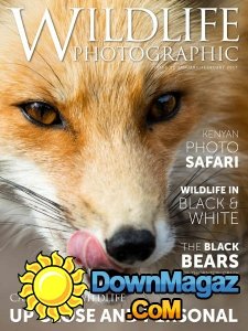Wildlife Photographic - 01/02 2017 Wildlife Photographic - 01/02 2017