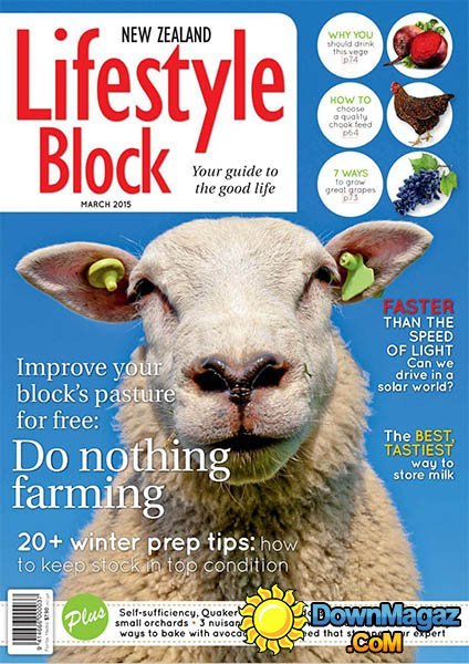 Lifestyle Block New Zealand - March 2015 Lifestyle Block New Zealand - March 2015