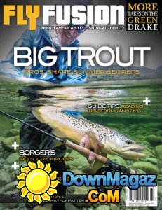 Fly Fusion - Summer 2017