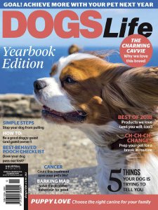 Dogs Life - 09/10 2018 Dogs Life - 09/10 2018