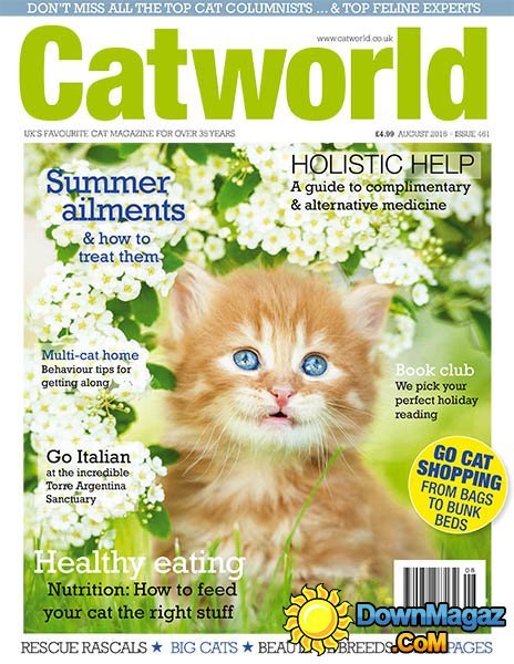 Catworld - August 2016 Catworld - August 2016