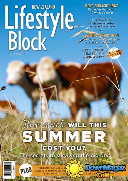 Lifestyle Block NZ - December 2015 Lifestyle Block NZ - December 2015