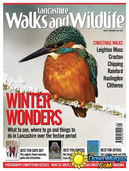 Lancashire Walks and Wildlife - Christmas 2013