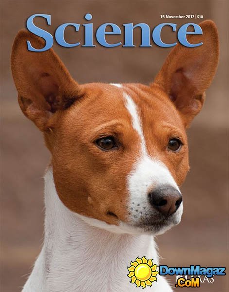 Science Magazine - 15 November 2013 Science Magazine - 15 November 2013
