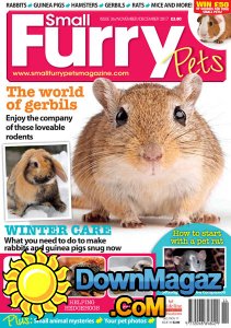 Small Furry Pets - 11/12 2017 Small Furry Pets - 11/12 2017