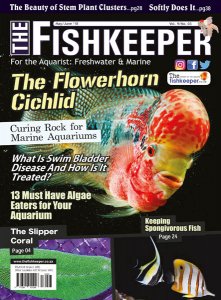 The Fishkeeper - 05/06 2018 The Fishkeeper - 05/06 2018