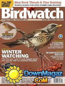 Birdwatch UK - 02.2017 Birdwatch UK - 02.2017