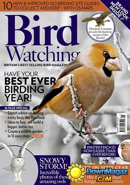 Bird Watching UK - January 2016 Bird Watching UK - January 2016