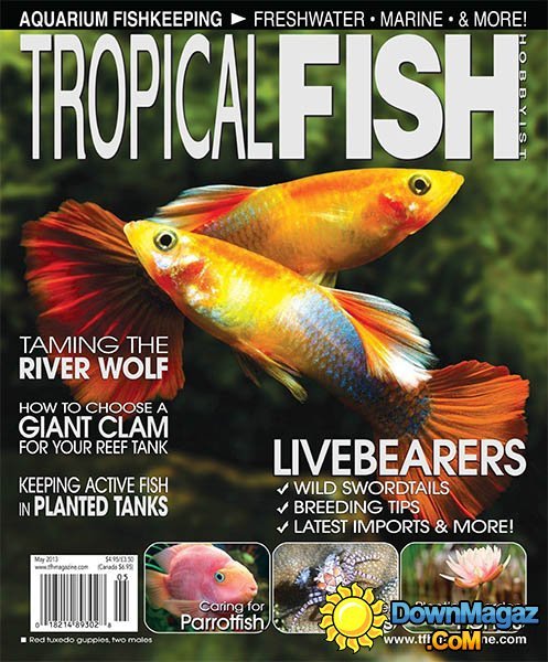 Tropical Fish Hobbyist - May 2013 Tropical Fish Hobbyist - May 2013