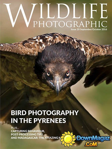 Wildlife Photographic - September-October 2016 Wildlife Photographic - September-October 2016
