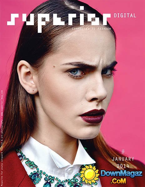 SUPERIOR DIGITAL - January 2014