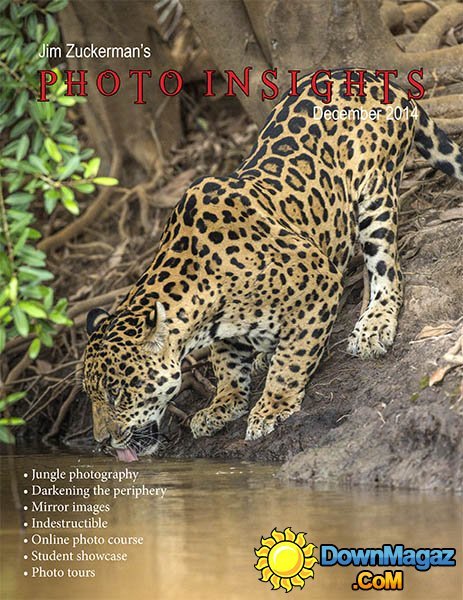 Photo insights - December 2014