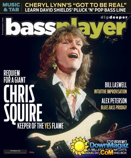 Bass Player USA - November 2015