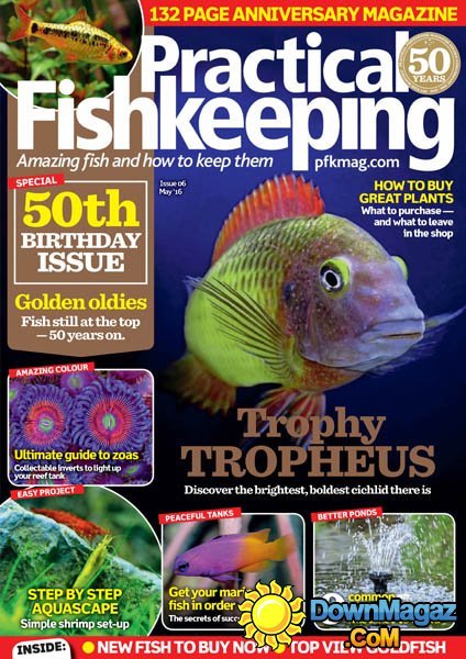 Practical Fishkeeping - May 2016 Practical Fishkeeping - May 2016